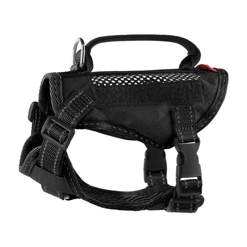 Adjustable cat harness with leash